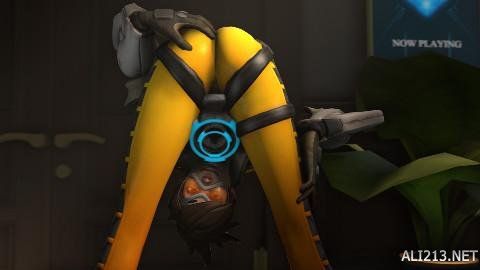 的战术角色 的战术角色